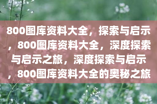 800图库资料大全，探索与启示，800图库资料大全，深度探索与启示之旅，深度探索与启示，800图库资料大全的奥秘之旅