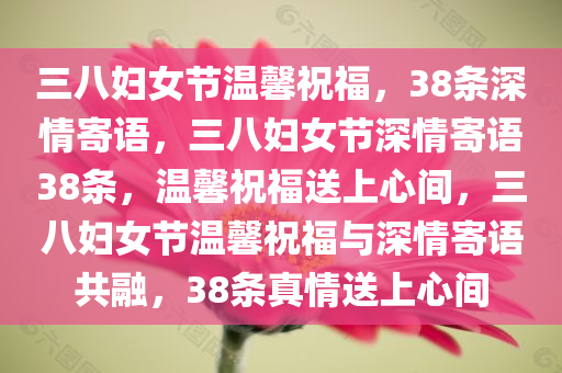 三八妇女节温馨祝福，38条深情寄语，三八妇女节深情寄语38条，温馨祝福送上心间，三八妇女节温馨祝福与深情寄语共融，38条真情送上心间