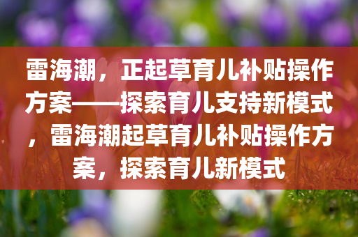 雷海潮，正起草育儿补贴操作方案——探索育儿支持新模式，雷海潮起草育儿补贴操作方案，探索育儿新模式