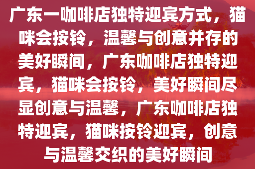 广东一咖啡店独特迎宾方式，猫咪会按铃，温馨与创意并存的美好瞬间，广东咖啡店独特迎宾，猫咪会按铃，美好瞬间尽显创意与温馨，广东咖啡店独特迎宾，猫咪按铃迎宾，创意与温馨交织的美好瞬间