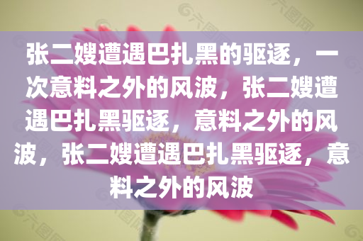 张二嫂遭遇巴扎黑的驱逐，一次意料之外的风波，张二嫂遭遇巴扎黑驱逐，意料之外的风波，张二嫂遭遇巴扎黑驱逐，意料之外的风波