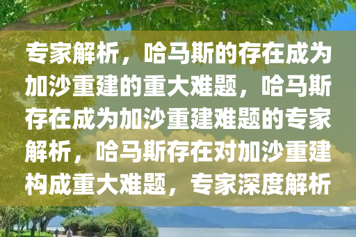 专家解析，哈马斯的存在成为加沙重建的重大难题，哈马斯存在成为加沙重建难题的专家解析，哈马斯存在对加沙重建构成重大难题，专家深度解析