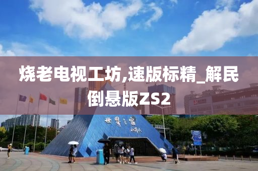 烧老电视工坊,速版标精_解民倒悬版ZS2