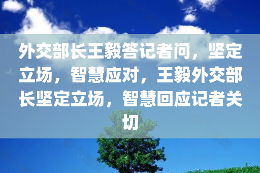 外交部长王毅答记者问，坚定立场，智慧应对，王毅外交部长坚定立场，智慧回应记者关切