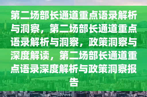 第二场部长通道重点语录解析与洞察，第二场部长通道重点语录解析与洞察，政策洞察与深度解读，第二场部长通道重点语录深度解析与政策洞察报告