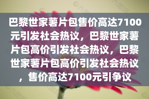 巴黎世家薯片包售价高达7100元引发社会热议，巴黎世家薯片包高价引发社会热议，巴黎世家薯片包高价引发社会热议，售价高达7100元引争议