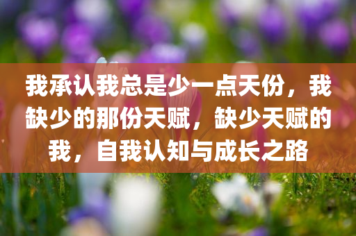 我承认我总是少一点天份，我缺少的那份天赋，缺少天赋的我，自我认知与成长之路