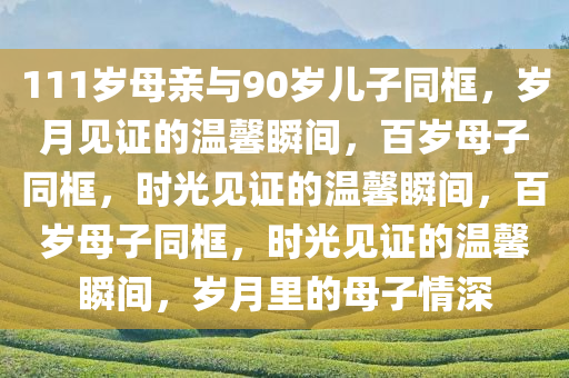 111岁母亲与90岁儿子同框，岁月见证的温馨瞬间，百岁母子同框，时光见证的温馨瞬间，百岁母子同框，时光见证的温馨瞬间，岁月里的母子情深