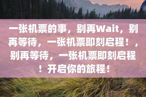 一张机票的事不要再wait