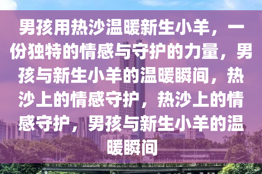 男孩用热沙给刚出生小羊搓身体驱寒