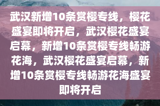 武汉新增10条赏樱专线，樱花盛宴即将开启，武汉樱花盛宴启幕，新增10条赏樱专线畅游花海，武汉樱花盛宴启幕，新增10条赏樱专线畅游花海盛宴即将开启