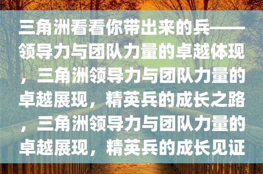 三角洲看看你带出来的兵——领导力与团队力量的卓越体现，三角洲领导力与团队力量的卓越展现，精英兵的成长之路，三角洲领导力与团队力量的卓越展现，精英兵的成长见证