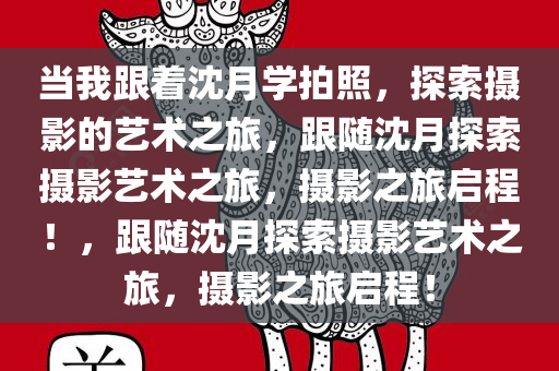 当我跟着沈月学拍照，探索摄影的艺术之旅，跟随沈月探索摄影艺术之旅，摄影之旅启程！，跟随沈月探索摄影艺术之旅，摄影之旅启程！