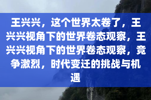 王兴兴，这个世界太卷了，王兴兴视角下的世界卷态观察，王兴兴视角下的世界卷态观察，竞争激烈，时代变迁的挑战与机遇