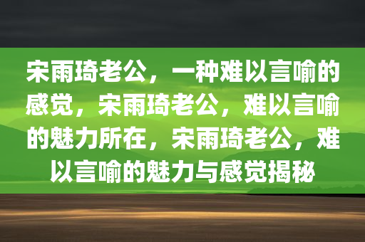 宋雨琦老公，一种难以言喻的感觉，宋雨琦老公，难以言喻的魅力所在，宋雨琦老公，难以言喻的魅力与感觉揭秘