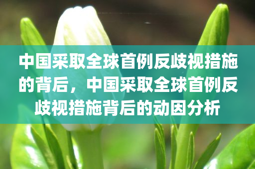 中国采取全球首例反歧视措施的背后，中国采取全球首例反歧视措施背后的动因分析