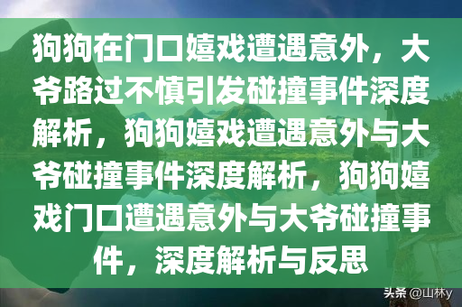 狗狗在门口嬉戏遭遇意外，大爷路过不慎引发碰撞事件深度解析，狗狗嬉戏遭遇意外与大爷碰撞事件深度解析，狗狗嬉戏门口遭遇意外与大爷碰撞事件，深度解析与反思