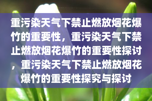 重污染天气下禁止燃放烟花爆竹的重要性，重污染天气下禁止燃放烟花爆竹的重要性探讨，重污染天气下禁止燃放烟花爆竹的重要性探究与探讨