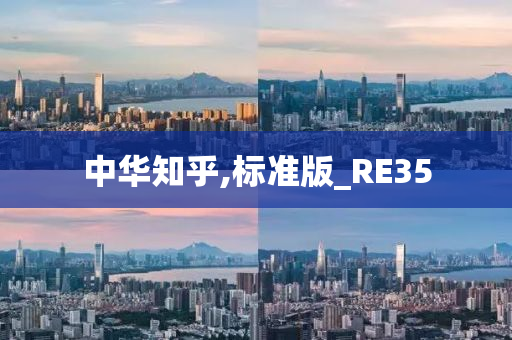 中华知乎,标准版_RE35