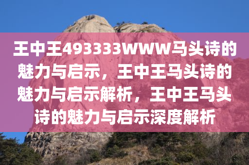 王中王493333WWW马头诗的魅力与启示，王中王马头诗的魅力与启示解析，王中王马头诗的魅力与启示深度解析