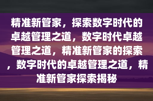 精准新管家，探索数字时代的卓越管理之道，数字时代卓越管理之道，精准新管家的探索，数字时代的卓越管理之道，精准新管家探索揭秘