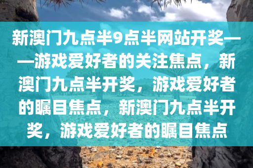 新澳门九点半9点半网站开奖——游戏爱好者的关注焦点，新澳门九点半开奖，游戏爱好者的瞩目焦点，新澳门九点半开奖，游戏爱好者的瞩目焦点