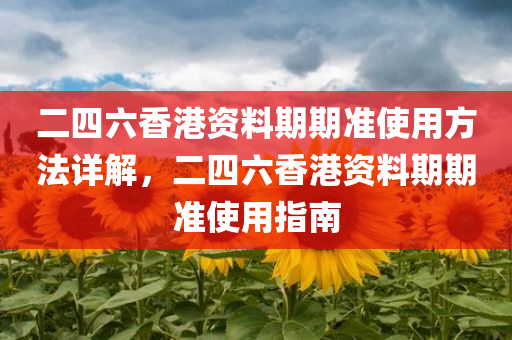 二四六香港资料期期准使用方法详解，二四六香港资料期期准使用指南