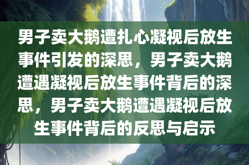 男子卖大鹅遭扎心凝视后放生事件引发的深思，男子卖大鹅遭遇凝视后放生事件背后的深思，男子卖大鹅遭遇凝视后放生事件背后的反思与启示