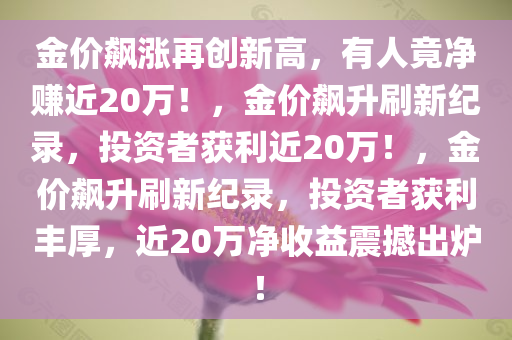 金价飙涨再创新高，有人竟净赚近20万！，金价飙升刷新纪录，投资者获利近20万！，金价飙升刷新纪录，投资者获利丰厚，近20万净收益震撼出炉！