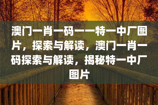 澳门一肖一码一一特一中厂图片，探索与解读，澳门一肖一码探索与解读，揭秘特一中厂图片