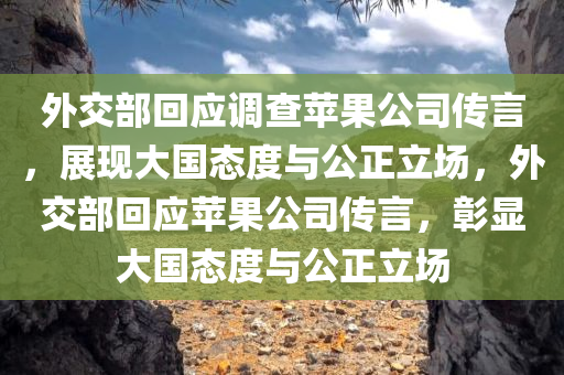 外交部回应调查苹果公司传言，展现大国态度与公正立场，外交部回应苹果公司传言，彰显大国态度与公正立场