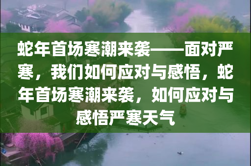 蛇年首场寒潮来袭——面对严寒，我们如何应对与感悟，蛇年首场寒潮来袭，如何应对与感悟严寒天气