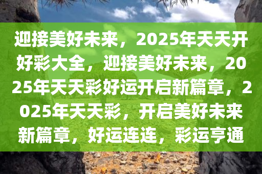 迎接美好未来，2025年天天开好彩大全，迎接美好未来，2025年天天彩好运开启新篇章，2025年天天彩，开启美好未来新篇章，好运连连，彩运亨通