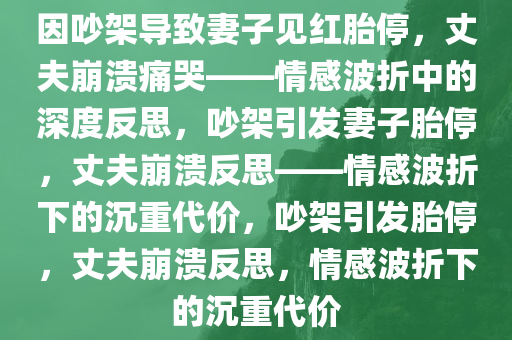 因吵架导致妻子见红胎停，丈夫崩溃痛哭——情感波折中的深度反思，吵架引发妻子胎停，丈夫崩溃反思——情感波折下的沉重代价，吵架引发胎停，丈夫崩溃反思，情感波折下的沉重代价