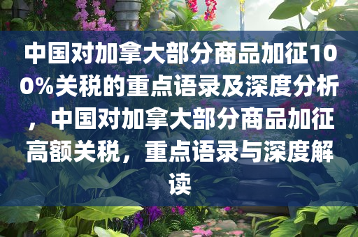 中国对加拿大部分商品加征100%关税的重点语录及深度分析，中国对加拿大部分商品加征高额关税，重点语录与深度解读