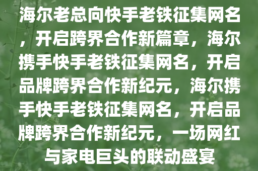 海尔老总向快手老铁征集网名，开启跨界合作新篇章，海尔携手快手老铁征集网名，开启品牌跨界合作新纪元，海尔携手快手老铁征集网名，开启品牌跨界合作新纪元，一场网红与家电巨头的联动盛宴