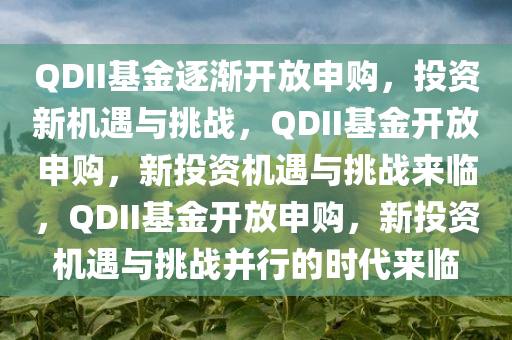 QDII基金逐渐开放申购，投资新机遇与挑战，QDII基金开放申购，新投资机遇与挑战来临，QDII基金开放申购，新投资机遇与挑战并行的时代来临