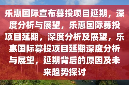 乐惠国际宣布募投项目延期