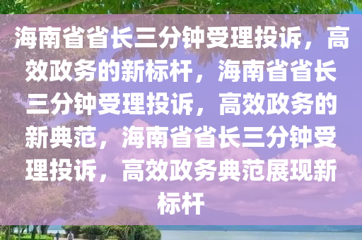 海南省省长三分钟受理投诉，高效政务的新标杆，海南省省长三分钟受理投诉，高效政务的新典范，海南省省长三分钟受理投诉，高效政务典范展现新标杆