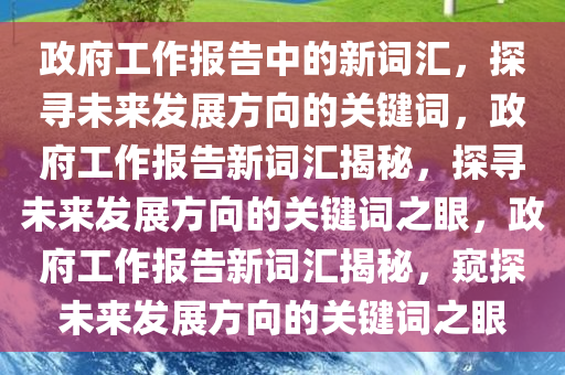 政府工作报告中的新词汇，探寻未来发展方向的关键词，政府工作报告新词汇揭秘，探寻未来发展方向的关键词之眼，政府工作报告新词汇揭秘，窥探未来发展方向的关键词之眼