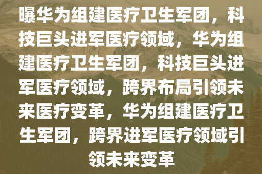 曝华为组建医疗卫生军团，科技巨头进军医疗领域，华为组建医疗卫生军团，科技巨头进军医疗领域，跨界布局引领未来医疗变革，华为组建医疗卫生军团，跨界进军医疗领域引领未来变革