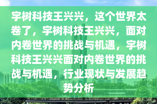 宇树科技王兴兴，这个世界太卷了，宇树科技王兴兴，面对内卷世界的挑战与机遇，宇树科技王兴兴面对内卷世界的挑战与机遇，行业现状与发展趋势分析