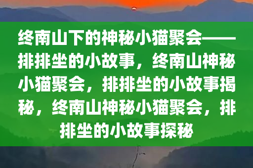 终南山下的神秘小猫聚会——排排坐的小故事，终南山神秘小猫聚会，排排坐的小故事揭秘，终南山神秘小猫聚会，排排坐的小故事探秘