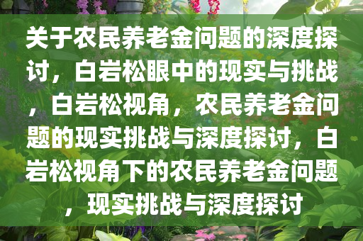 关于农民养老金问题的深度探讨，白岩松眼中的现实与挑战，白岩松视角，农民养老金问题的现实挑战与深度探讨，白岩松视角下的农民养老金问题，现实挑战与深度探讨