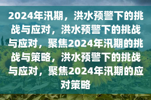 2024年汛期，洪水预警下的挑战与应对，洪水预警下的挑战与应对，聚焦2024年汛期的挑战与策略，洪水预警下的挑战与应对，聚焦2024年汛期的应对策略