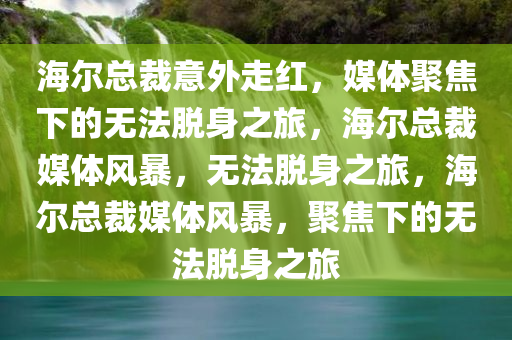 海尔总裁意外走红，媒体聚焦下的无法脱身之旅，海尔总裁媒体风暴，无法脱身之旅，海尔总裁媒体风暴，聚焦下的无法脱身之旅