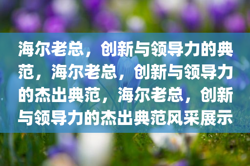 海尔老总，创新与领导力的典范，海尔老总，创新与领导力的杰出典范，海尔老总，创新与领导力的杰出典范风采展示