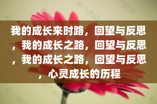 我的成长来时路，回望与反思，我的成长之路，回望与反思，我的成长之路，回望与反思，心灵成长的历程