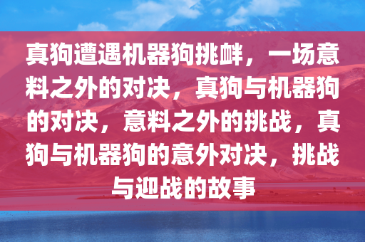 真狗遭遇机器狗挑衅，一场意料之外的对决，真狗与机器狗的对决，意料之外的挑战，真狗与机器狗的意外对决，挑战与迎战的故事