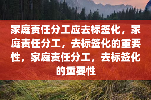 家庭责任分工应去标签化，家庭责任分工，去标签化的重要性，家庭责任分工，去标签化的重要性